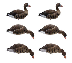 Set 6 atrape garlita mare full body