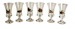 Set 6 pahare Jagermeister