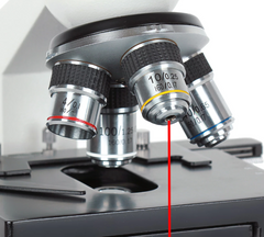 Microscop Delta Optical Biostage II
