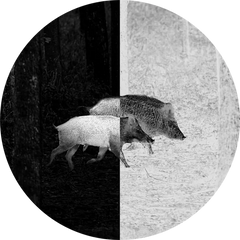 Camera cu termoviziune Swarovski TM35+