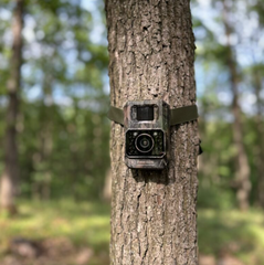 Camera monitorizare Forest Vision Alpha