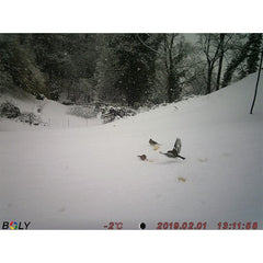 Camera de vanatoare Boly BG310