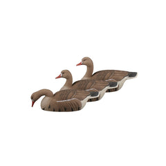 Set 12 atrape gasca GHG tip scoica